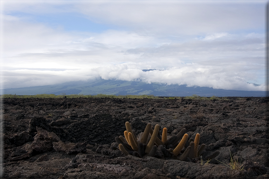 foto Isole Galapagos